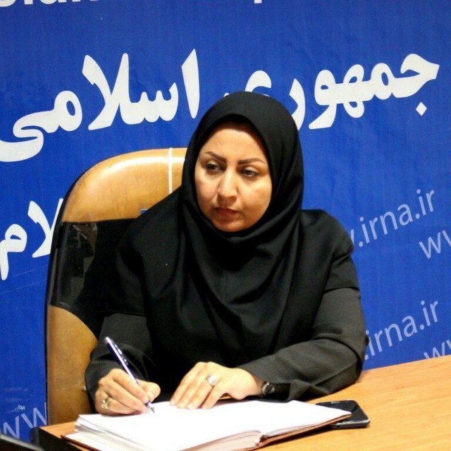 رییس خبرگزاری ایرنادراستان ایلام منصوب شد