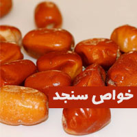 ⏪خانواده ای که میوه سنجد می خورد نیازی به دکتر رفتن پیدا نمی کند