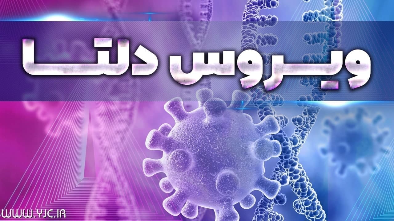 ویروس دلتا جوانان را بیشتر درگیر می‌کند