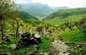 زاگرس