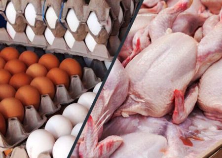 کاهش قیمت مرغ و تخم‌مرغ در راه است!