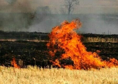 افزایش خطر آتش‌سوزی در جنگل‌ها و مراتع ایلام هم‌زمان با فصل گرما