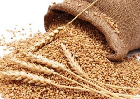 ۲ میلیارد ریال زکات در دره شهر جمع آوری شد