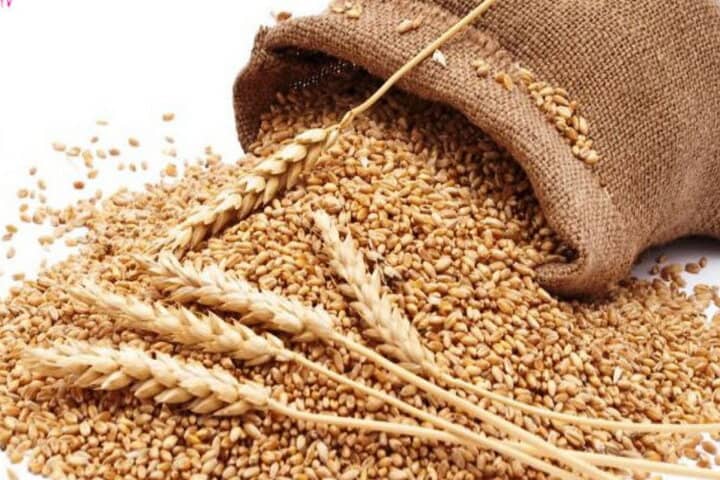 ۲ میلیارد ریال زکات در دره شهر جمع آوری شد