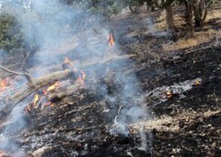 مهار آتش‌سوزی ۲ هکتاری در خرگاو ایلام