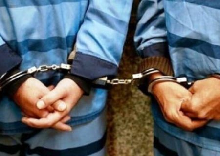 عاملان چاقوکشی پارک کوهستان ایوان دستگیر شدند