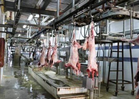فعالیت کشتارگاه صنعتی دام ایلام از تیرماه آغاز می‌شود