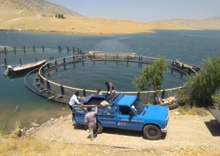 اجرای طرح پرورش ماهی فیتوفاگ در ایلام