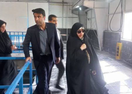 بازدید معاون امور زنان و خانواده ریاست‌جمهوری از تصفیه‌خانه آب شهدای شهرستان ملکشاهی