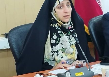تشکیل کارگروه ویژه با حضور متخصصان حوزه سلامت روان در شهرستان ملکشاهی