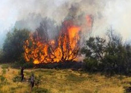 آتش‌سوزی کمربندی شرقی ایلام مهار شد