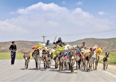 ۲۴۰ میلیارد تومان پروژه برای عشایر ایلام اجرا می شود