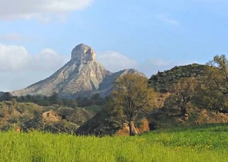 لزوم صیانت از میراث سبز در روز طبیعت؛ هشدار کارشناسان نسبت به تخریب پوشش گیاهی